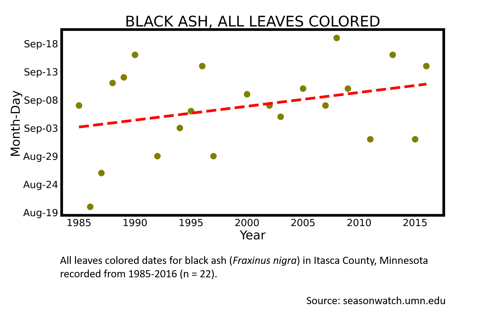 Scatterplot showing black ash phenology in Itasca County, Minnesota