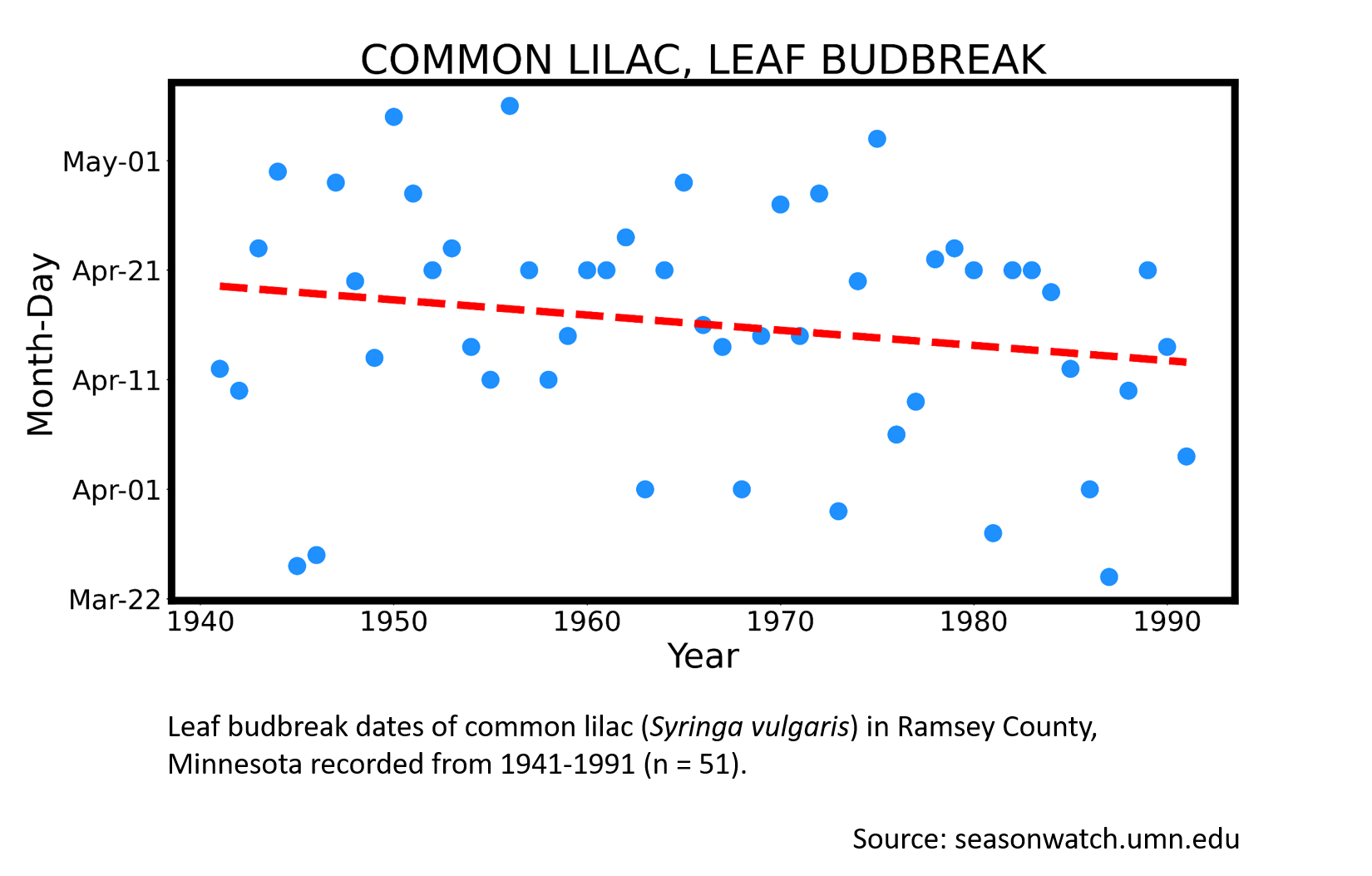 Scatterplot showing common lilac phenology observations in Ramsey County, Minnesota