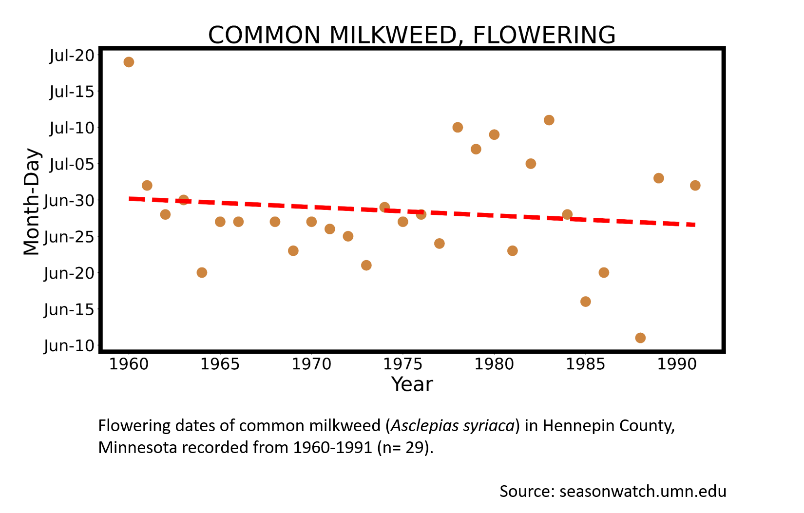 Scatterplot showing common milkweed phenology in Hennepin County, Minnesota