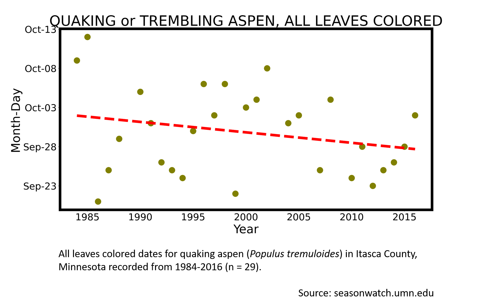 Scatterplot showing quaking aspen phenology observations in Itasca County, Minnesota