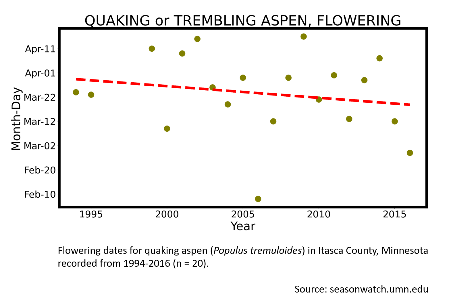 Scatterplot showing quaking aspen phenology observations in Itasca County, Minnesota