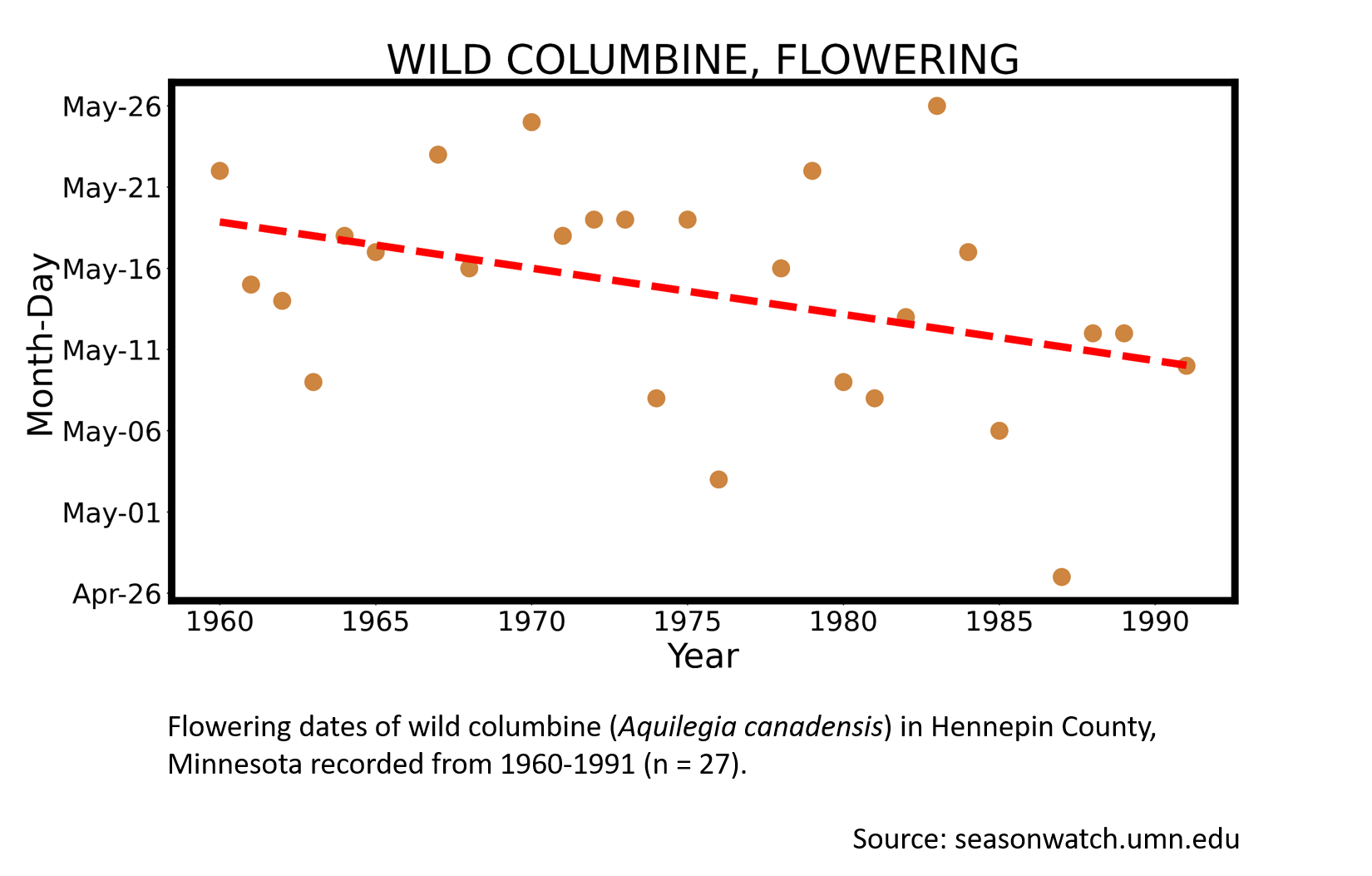 Scatterplot showing red columbine phenology in Hennepin County, Minnesota