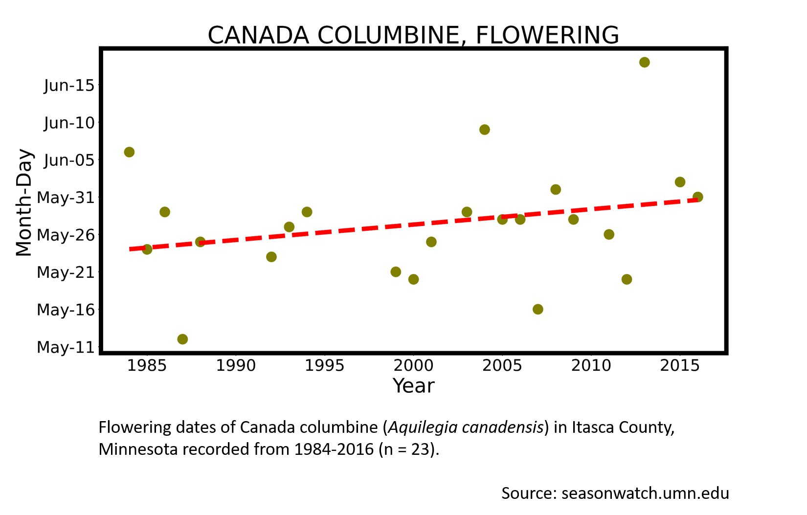 Scatterplot showing red columbine phenology in Itasca County, Minnesota