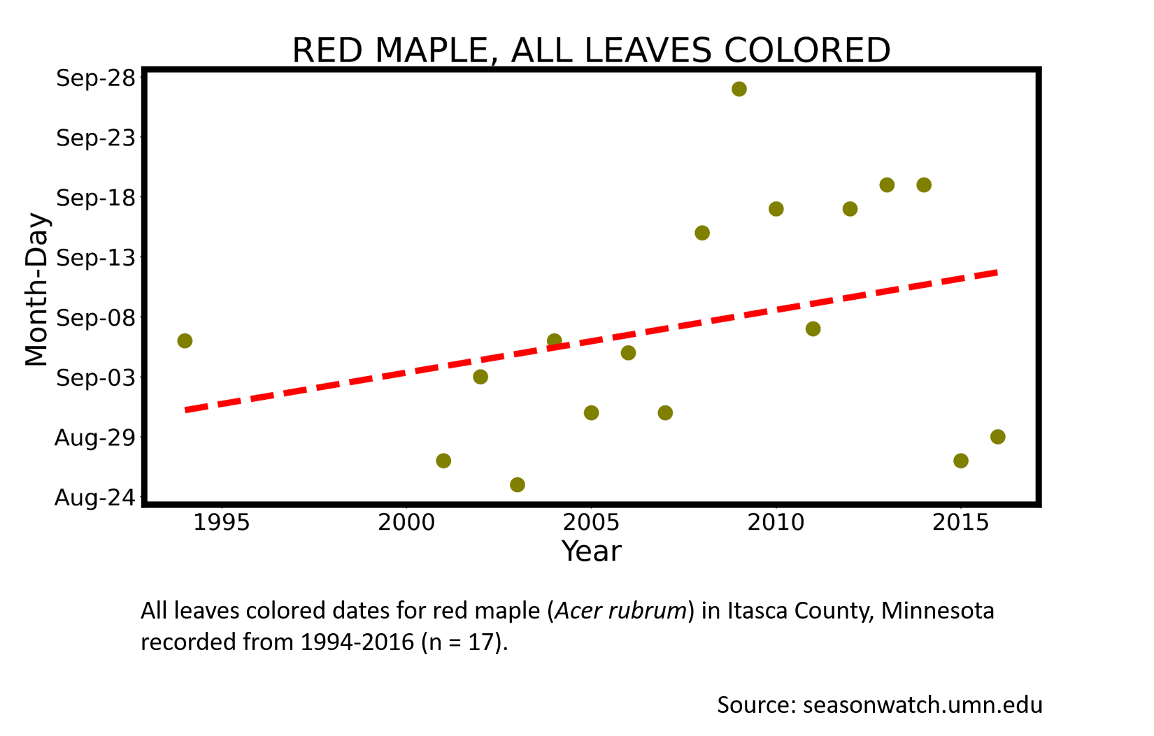 Scatterplot showing red maple phenology observations in Itasca County, Minnesota