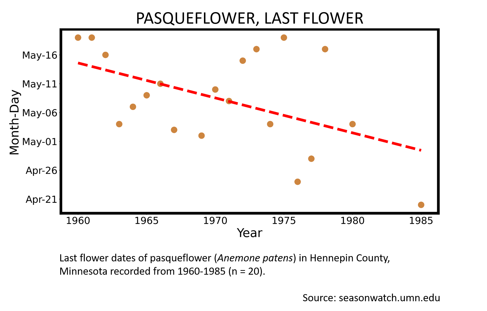 Scatterplot showing pasqueflower phenology observations in Hennepin County, Minnesota