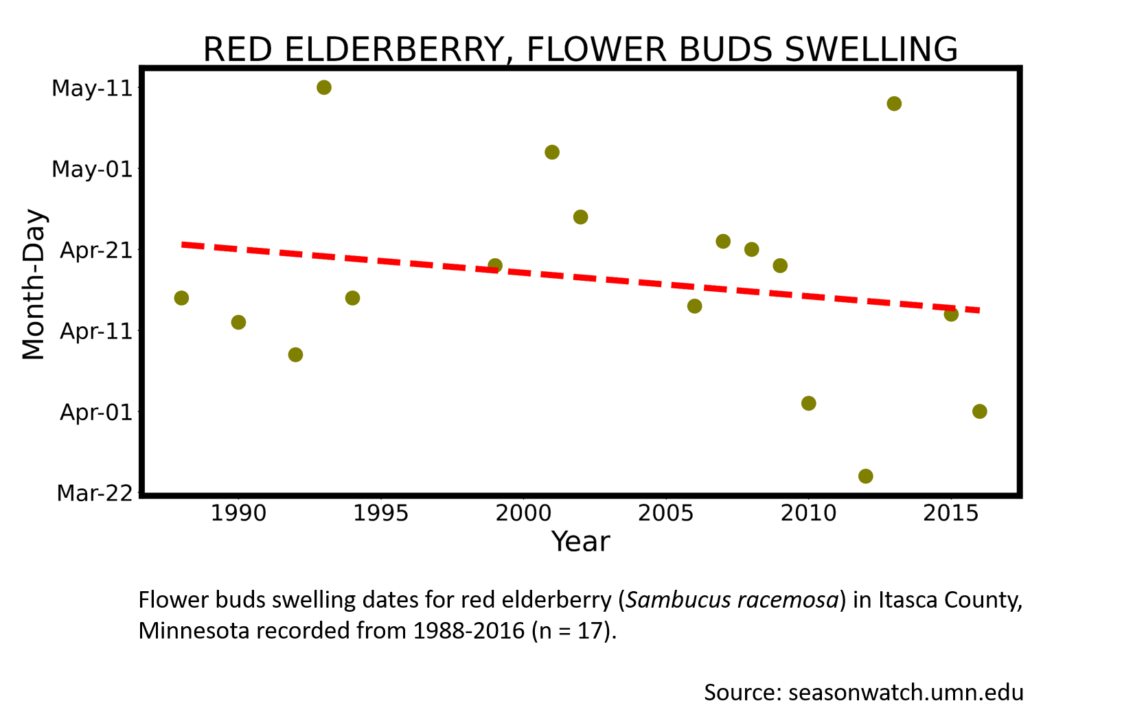 Scatterplot showing red elderberry phenology observations in Itasca County, Minnesota