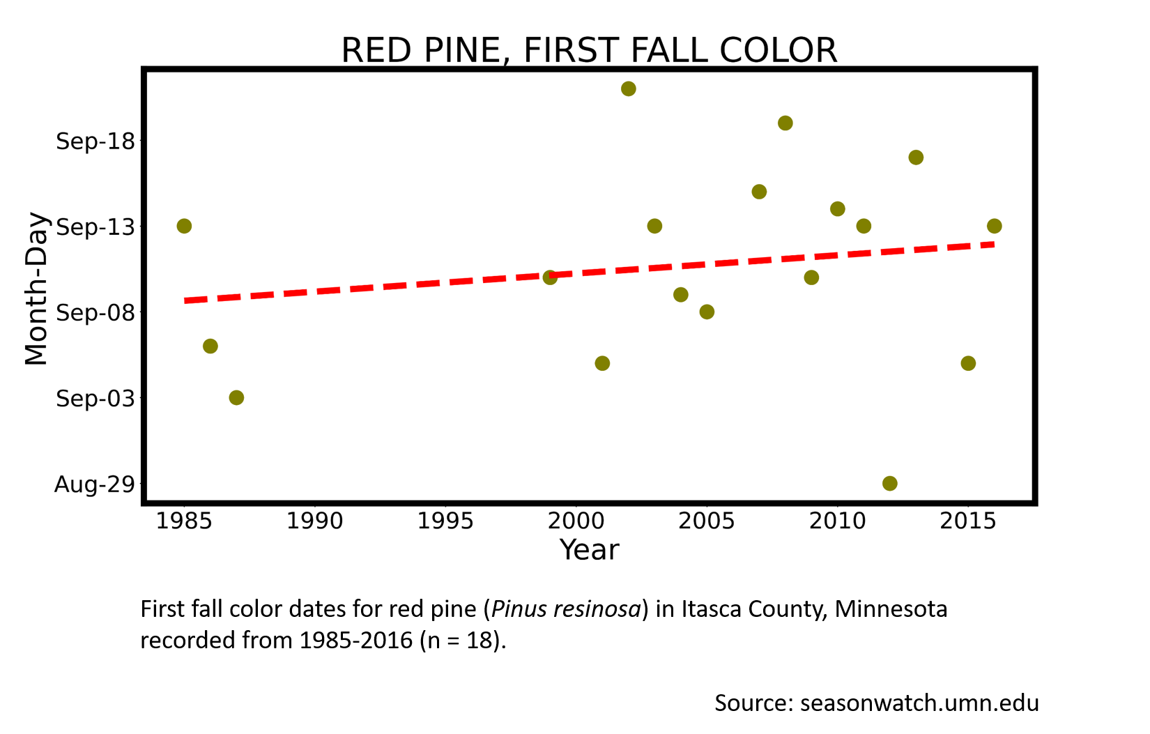 Scatterplot showing red pine phenology observations in Itasca County, Minnesota