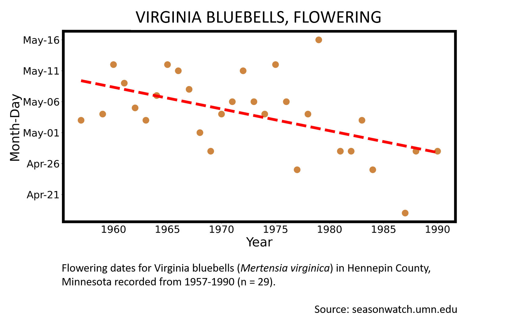 Scatterplot showing Virginia bluebells phenology observations in Hennepin County, Minnesota