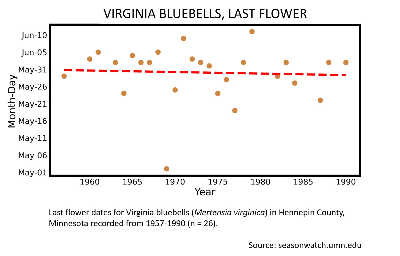 Scatterplot showing Virginia bluebells phenology observations in Hennepin County, Minnesota