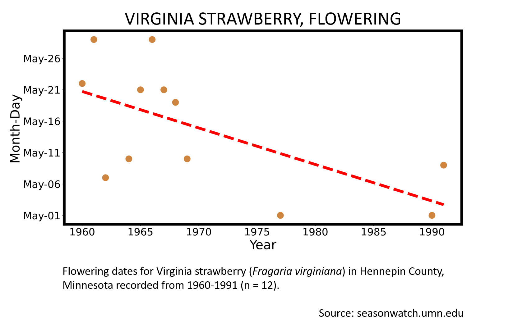 Scatterplot showing Virginia strawberry phenology observations in Hennepin County, Minnesota