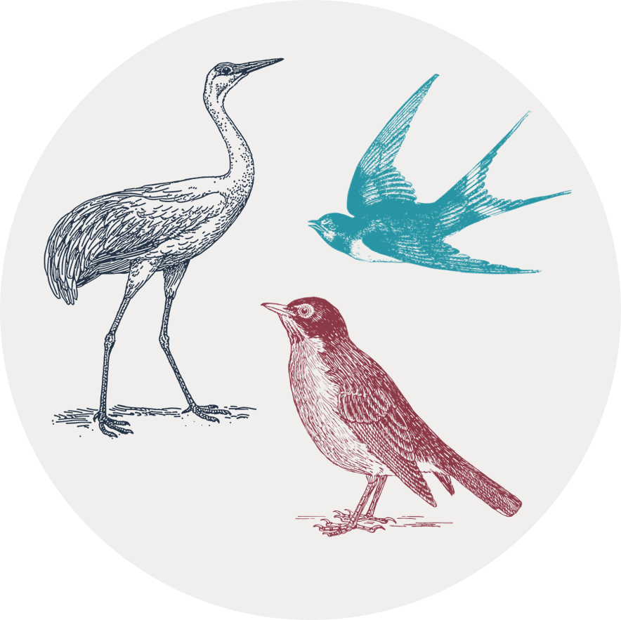 Gray circular icon with illustrations of a crane, a robin, and a swallow