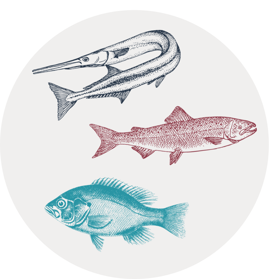 Gray circular icon with illustrations of three kinds of fish