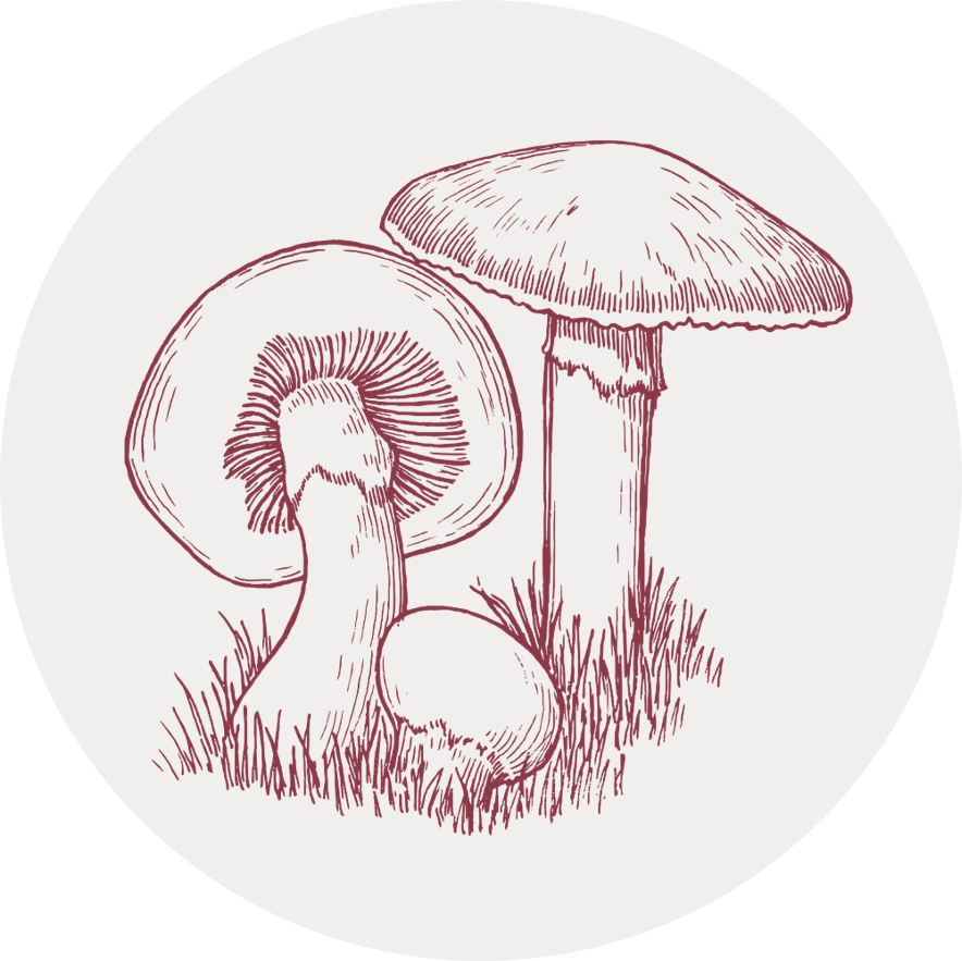 Gray circular icon with an illustration of toadstools