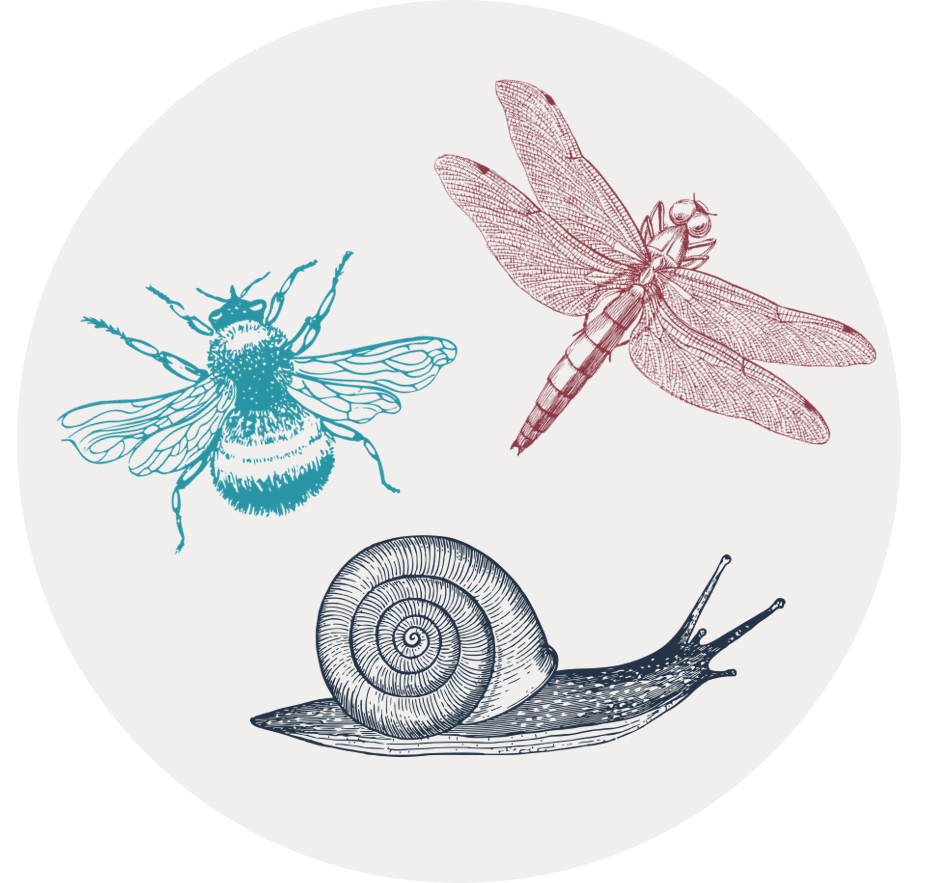 Gray circular icon with illustrations of a bee, a dragonfly, and a snail