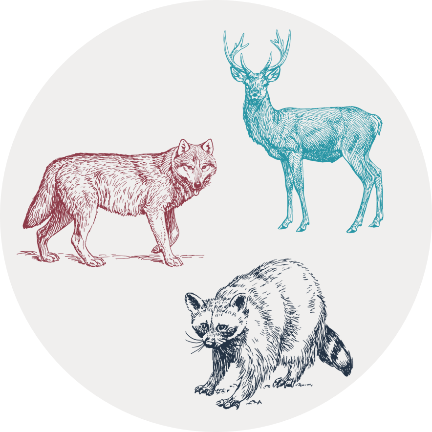 Gray circular icon with illustrations of a wolf, a raccoon, and a deer