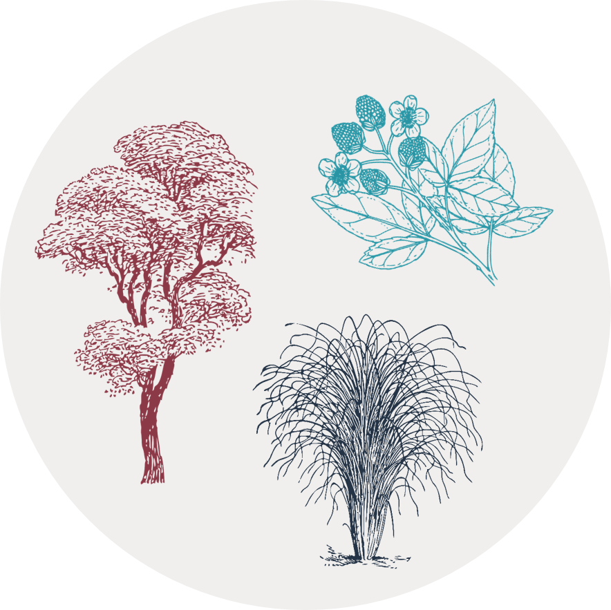 Gray circular icon with illustrations of a tree, a flowering plant, and a tuft of grass