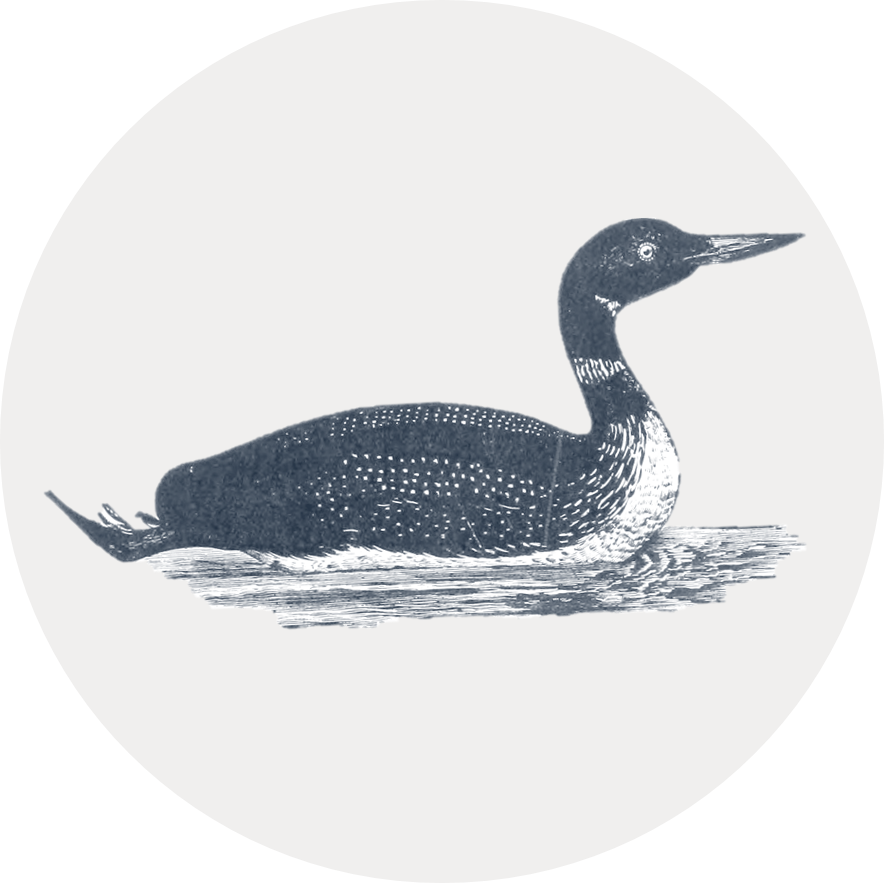 Circular icon with an illustration of a loon