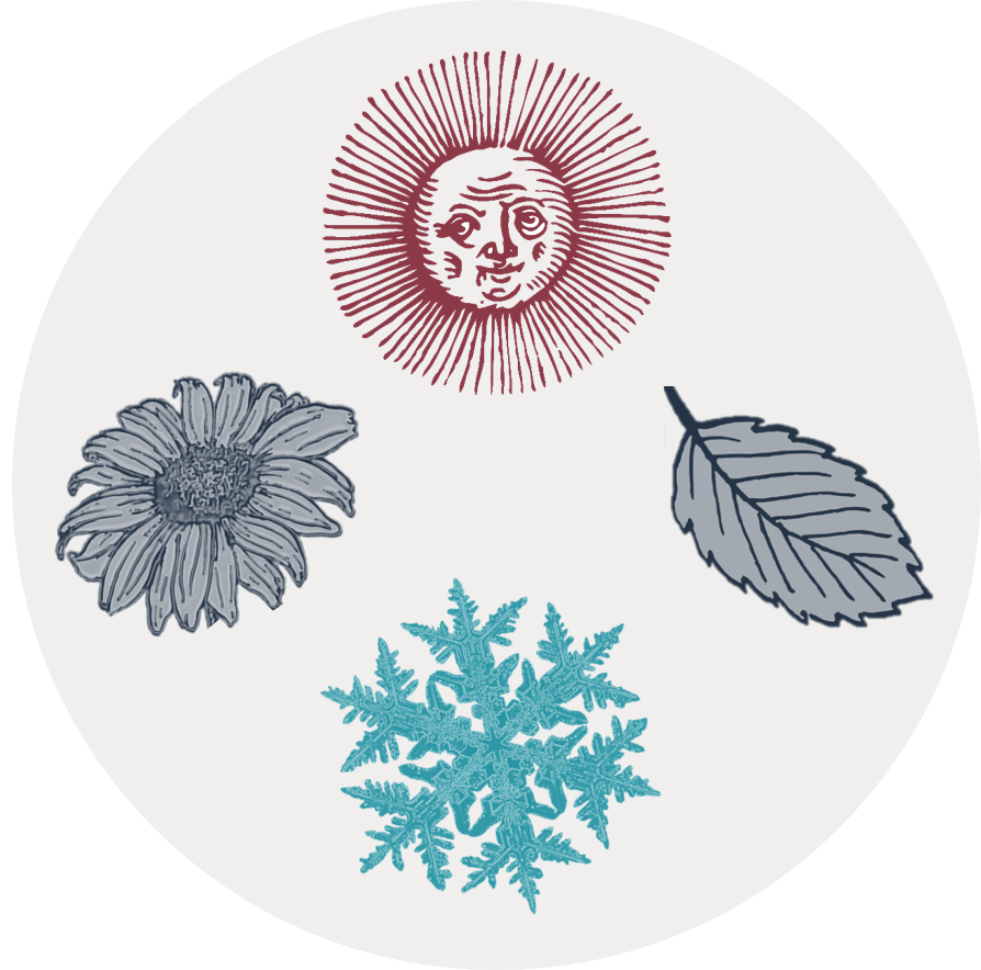 Circular icon with an illustrated flower, sun, falling leaf, and snowflake to represent the four seasons