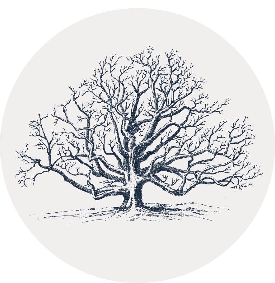 Gray circular icon with an illustration of a tree with many complex branches