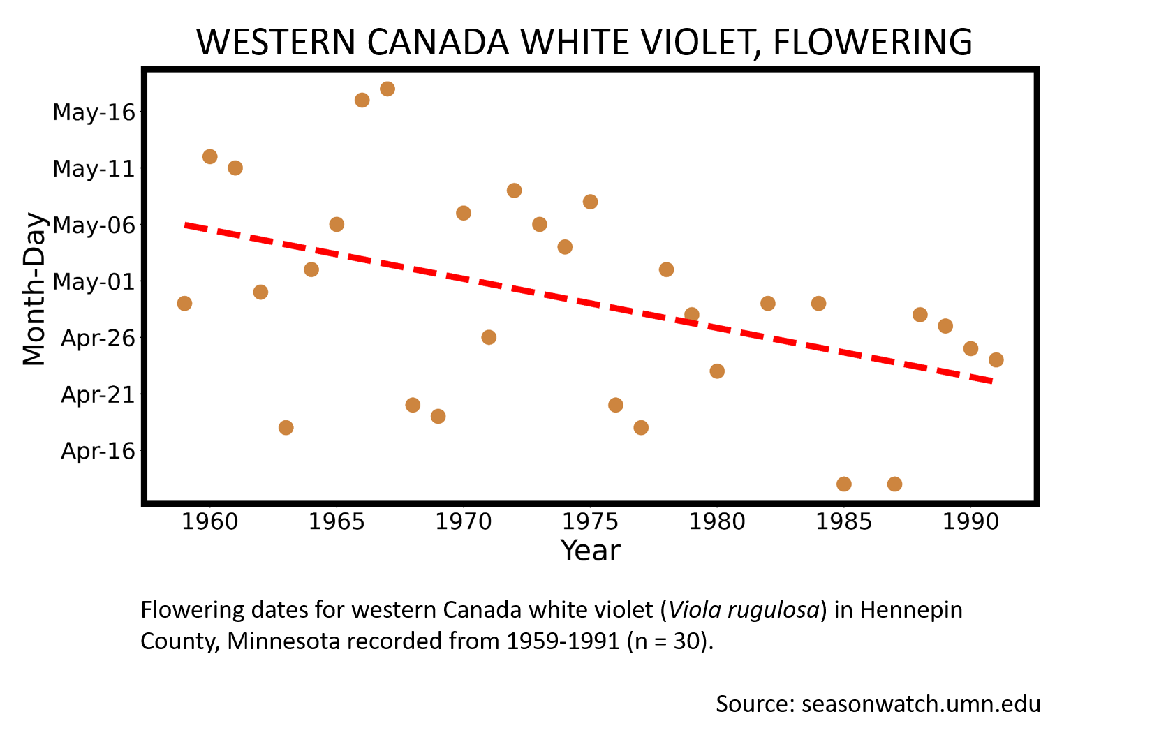 Scatterplot showing western Canada white violet phenology in Hennepin County, Minnesota