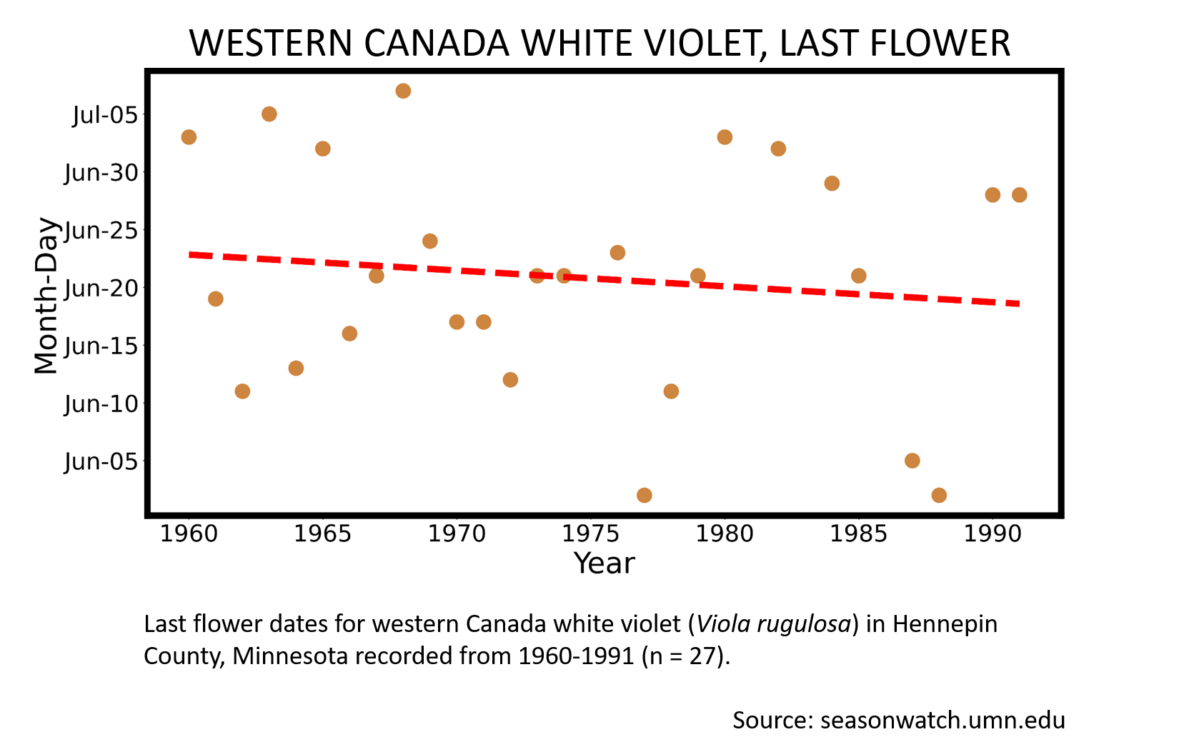 Scatterplot showing western Canada white violet phenology in Hennepin County, Minnesota