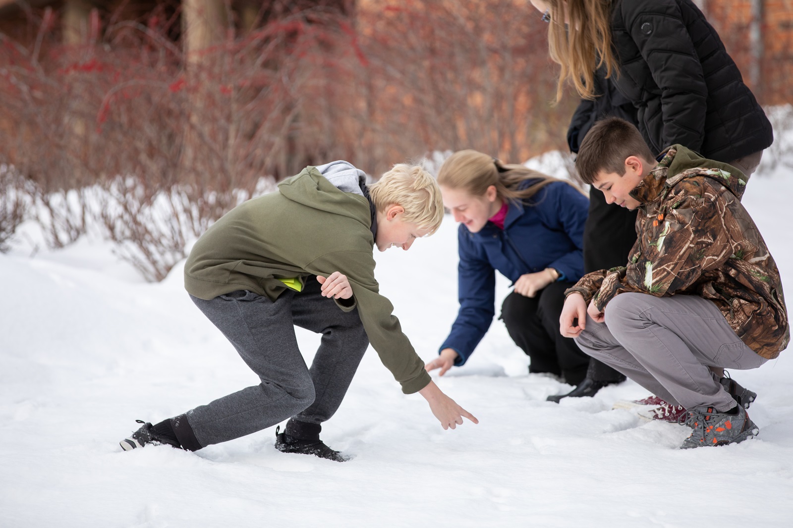 Group of students in an outdoor setting stoop to investigate tracks in the snow.
