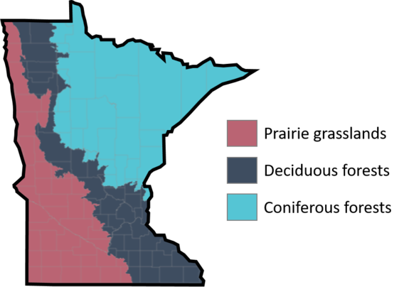 Minnesota state showing 3 biomes