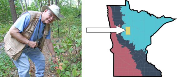 John Webber in the woods, pointing to a plant with leaves turning red. John is a white man with binoculars wearing a hat. Next to the photo is a map of Minnesota with Hubbard County highlighted.
