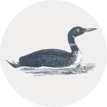 Circular icon with an illustration of a loon