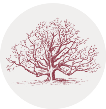 Gray circular icon with an illustration of a tree with many branches