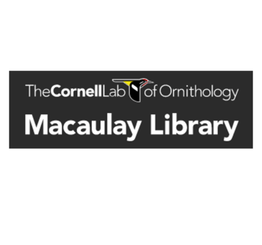 Black rectangle with white sans serif text: The Cornell Lab of Ornithology, Macaulay Library 