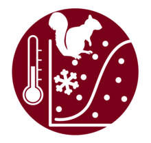 Maroon circle with white silhouettes of a squirrel, a snowflake, a thermometer, and a scatterplot with datapoints