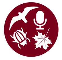 Maroon circle with white shapes representing a flying bird, a bug, a falling leaf, and a microphone